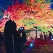 とうもろこしの画像