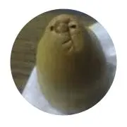 テンプルの画像