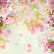 2025 夏季IJLカード AKa あかまじゅ 赤の魔術師 複製サイン - メルカリ