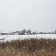 あべ