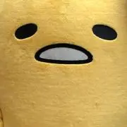 kiraraの画像