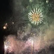 Chamomile152501の画像