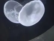 ︎︎☺︎の画像