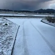 ギコルの画像