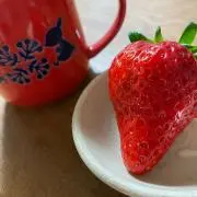 ゆの画像