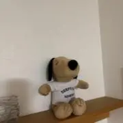タク丸の画像