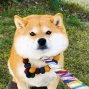 玲の画像