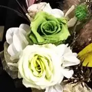 イヅミールの画像
