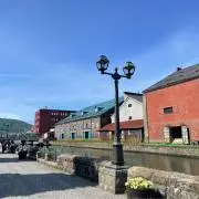 suiの画像