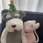 紹介文読んでいただけると助かりますの画像