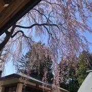 みなの画像