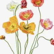 おはな⭐️【即購入OK】の画像