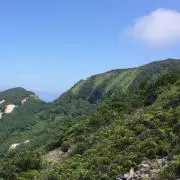 t.iの画像