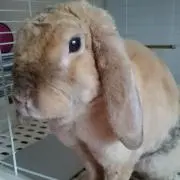 けうぃ