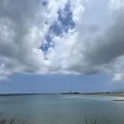 まーの画像