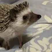 金髪