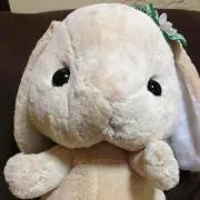 ねこねこいぬねこいぬねこねこ