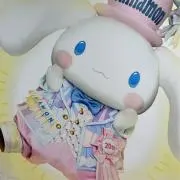 Ntn1507の画像