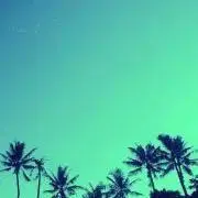 ゆかりん