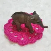 Elephantの画像