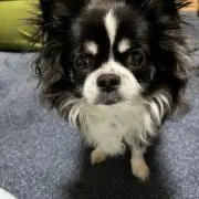 ふみの画像