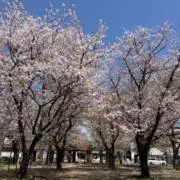 FFFの画像