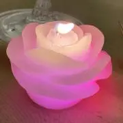 sakiの画像