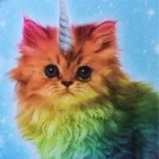 ^._.^の画像