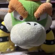 マッペの画像