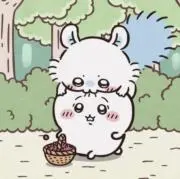 まるりの画像