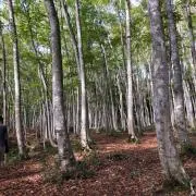 kaeru-sanの画像