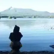 ぽんの画像