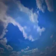 pinokiiinの画像