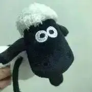 kiyok!の画像