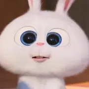 ももの画像