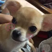 ZERO値下げ交渉可能ですよ〜！の画像