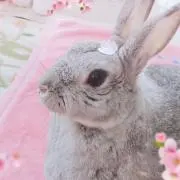 うっちの画像