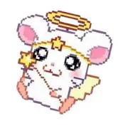 ❤︎ ❤︎
