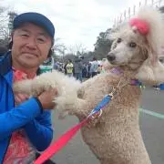 らんくるの画像