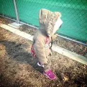 るいこの画像