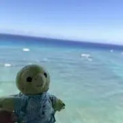 やまりの画像