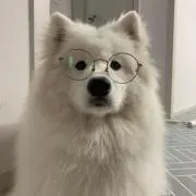 Sの画像