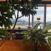 みなの