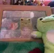 ゆりぽん❣️の画像
