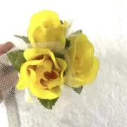 初夏の画像