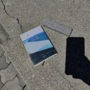しすこーんの画像
