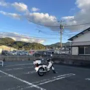 みーの画像