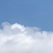 yzn