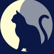 ☾月夜の黒猫の画像