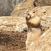 みくこの画像